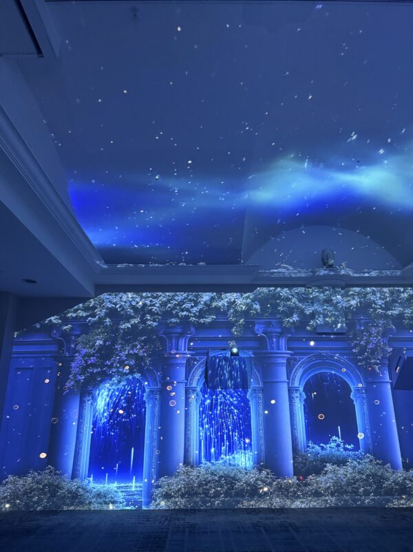2025《星光藍圖》新書發表年會｜星光啟示錄｜Starlight Revelation：圖片 3